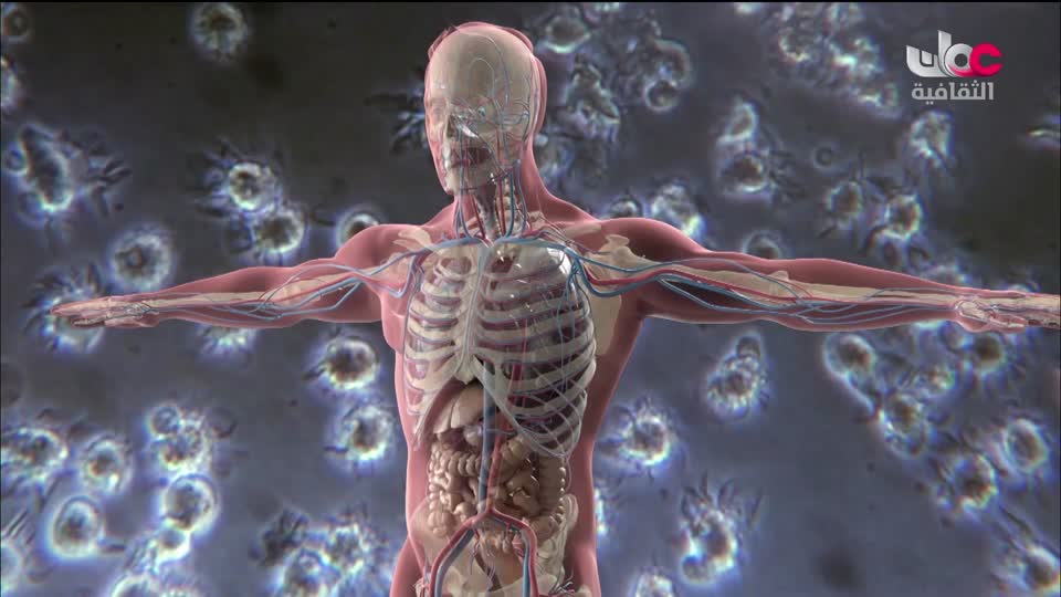 وثائقيات عن الطبيعة والمناخ - الحلقة 6