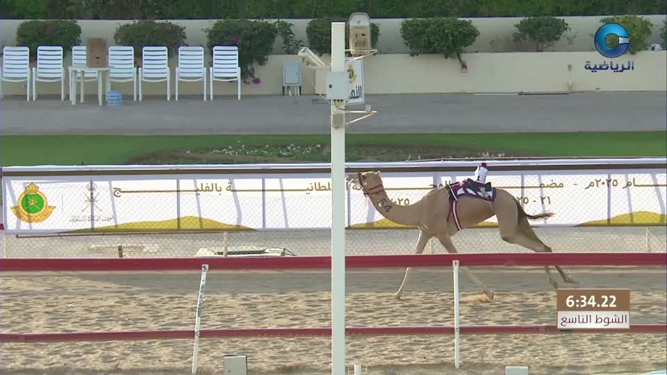 السباق العام للمهرجان السنوي لسباقات الهجن الاهلية - الفليج 2026 - الحلقة 2