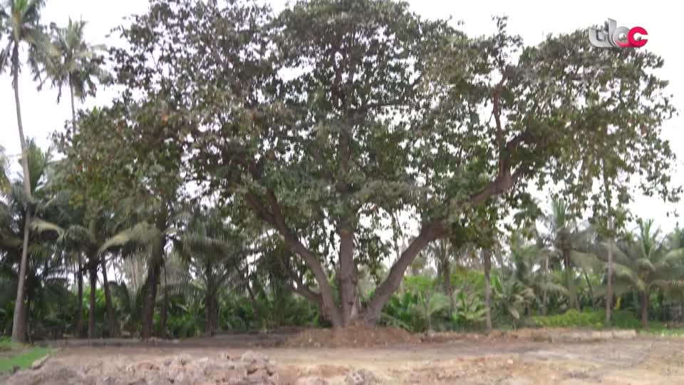 البرنامج العلمي - حصاد - الحلقة 27