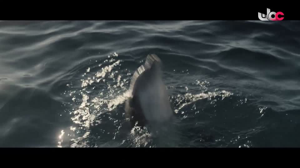 المسلسل التركي - عودة الروح - الحلقة 27