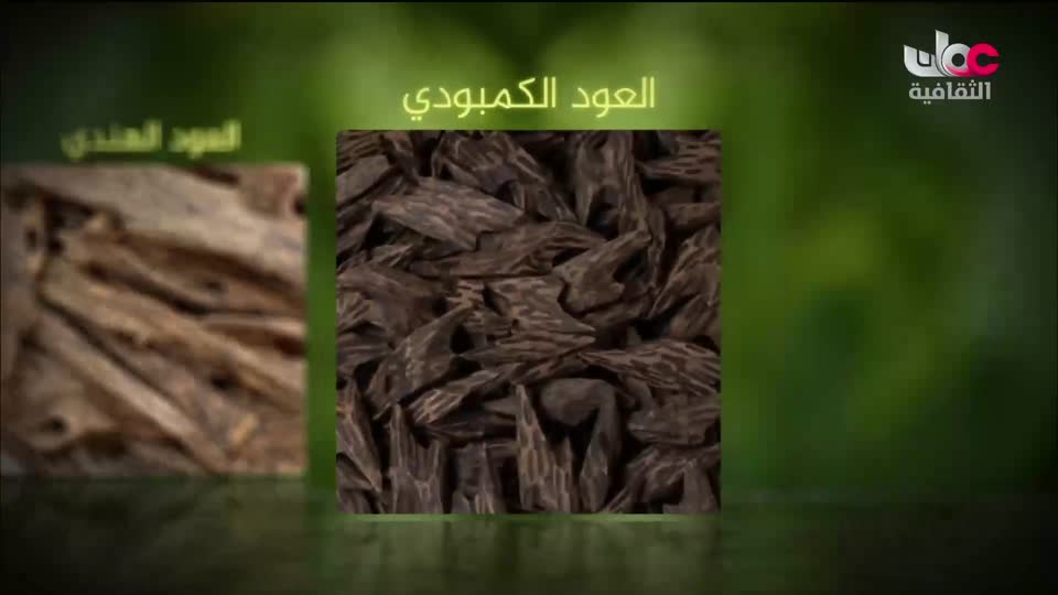 البرنامج الثقافي - زيوت عطرية - الحلقة 1