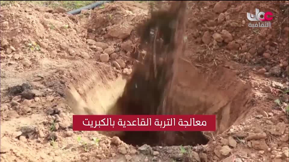 البرنامج الثقافي - عالم الأشجار