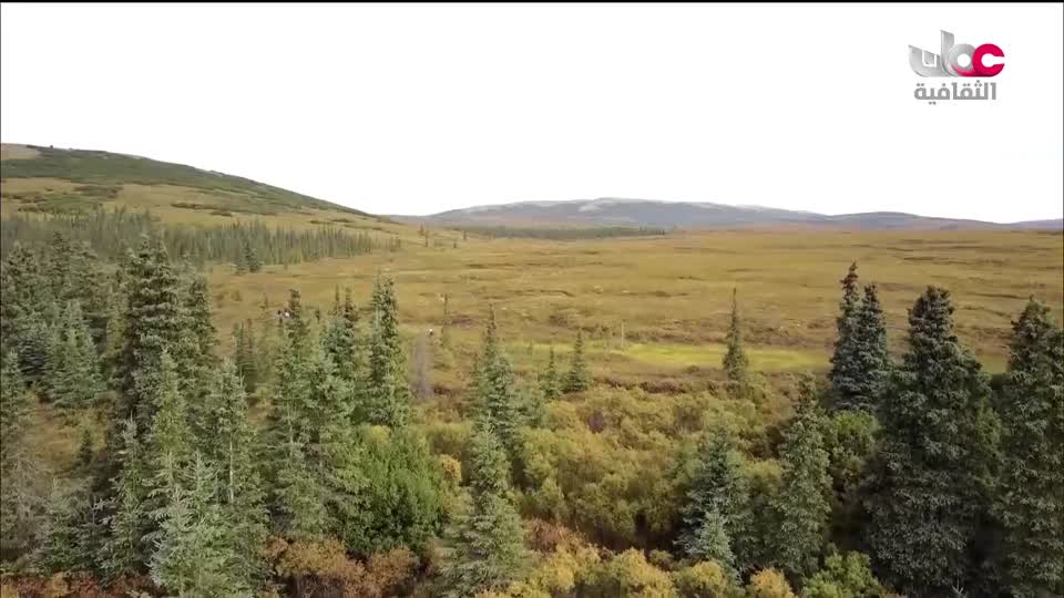 البرنامج الثقافي - افضل فنون العمارة - الحلقة 10