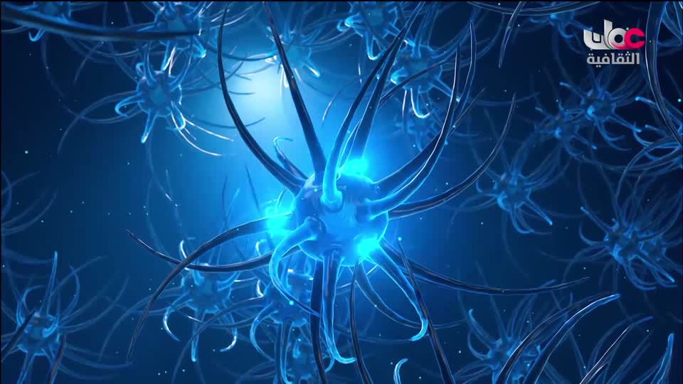 البرنامج الثقافي - زيوت عطرية - الحلقة 28