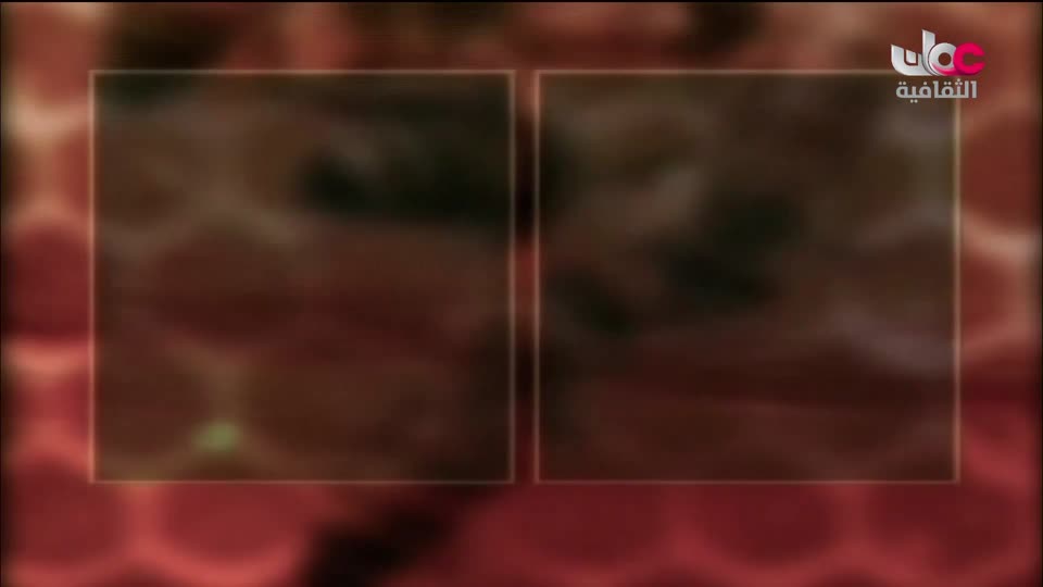 سبحانك ربي - الحلقة 30