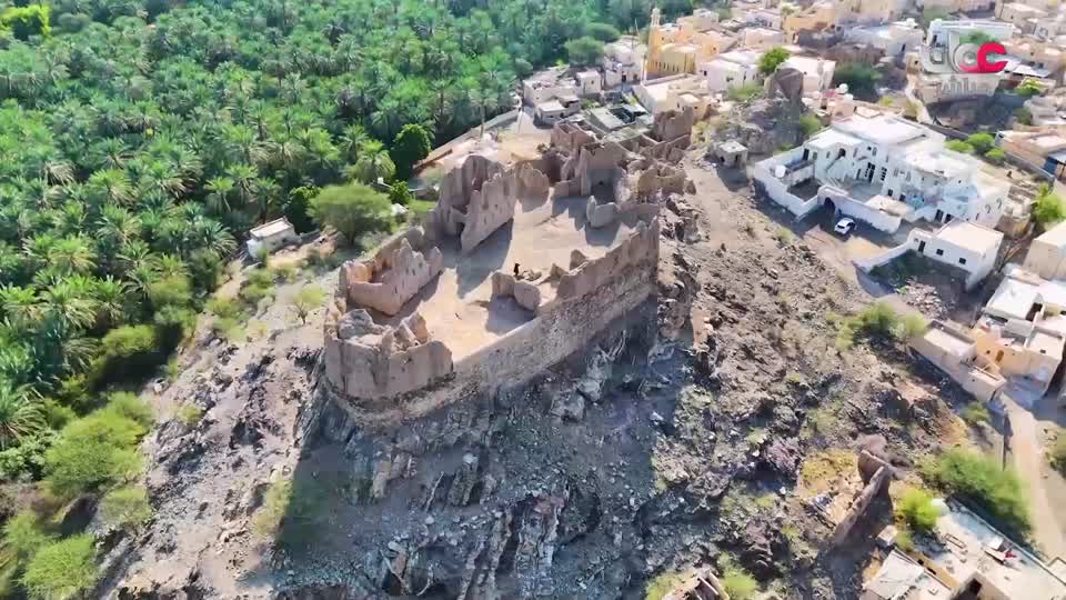 البرنامج العلمي - حصاد - الحلقة 28