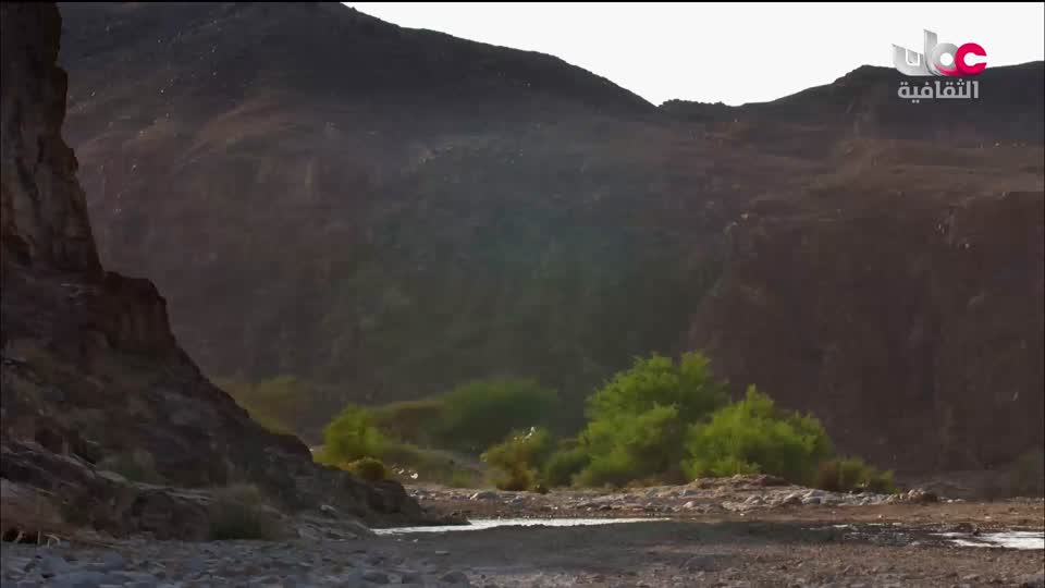 البرنامج الثقافي - كنوز من الموسوعة العمانية - الحلقة 2