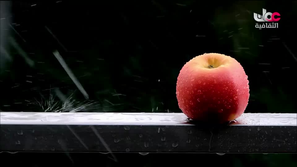 برنامج - فيتامينات - الحلقة 60