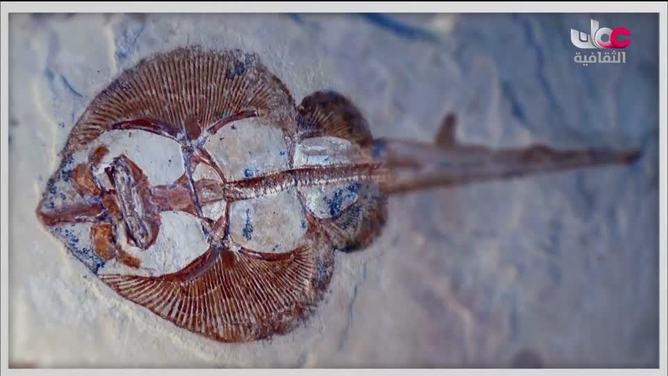 برنامج _ من عبق اللغة _ ج3 - الحلقة 29