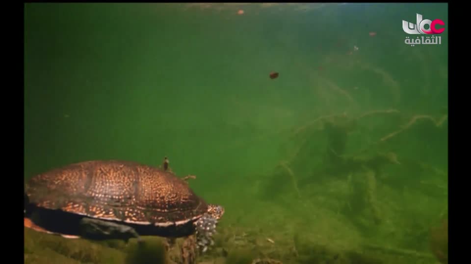 سبحانك ربي - الحلقة 1