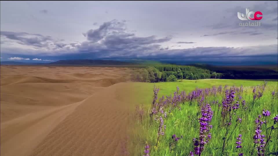 برنامج - كنوز الصحراء - الحلقة 3