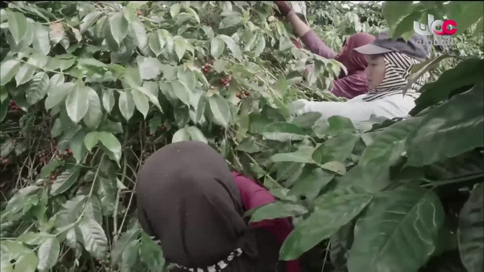 البرنامج الثقافي أرض ونار - تطور فن الطبخ - الحلقة 29