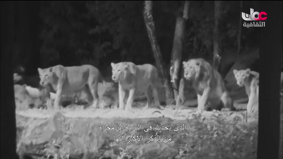 البرنامج الثقافي _ عشاق السفر - الحلقة 9