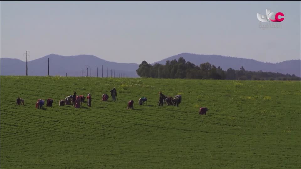 الزراعة من اجل الكوكب - الحلقة 8