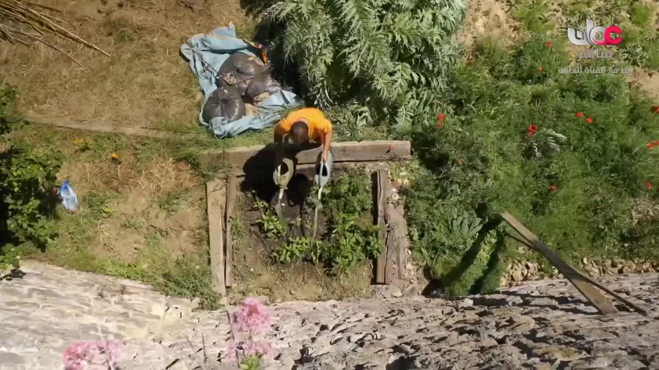 طاقة الحياة