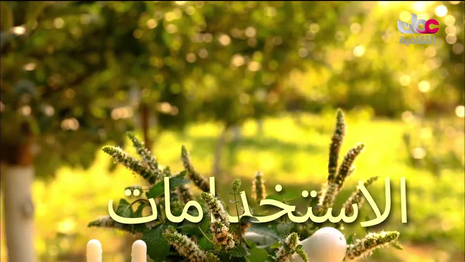 البرنامج الثقافي - زيوت عطرية - الحلقة 3