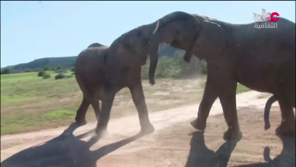 برنامج _ الحارات العمانية - الحلقة 10