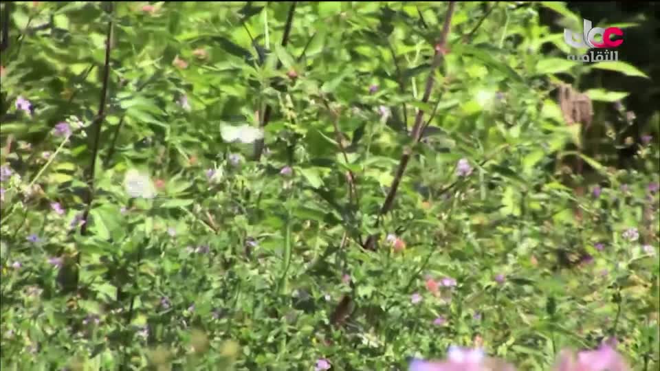 الزراعة من اجل الكوكب - الحلقة 9