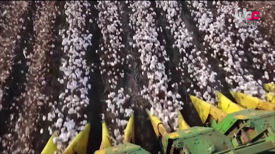 برنامج/اغاني مفرغة-موشحات - مركز عمانللموسيقى التق