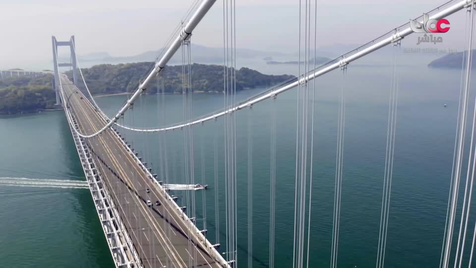 طاقة الحياة