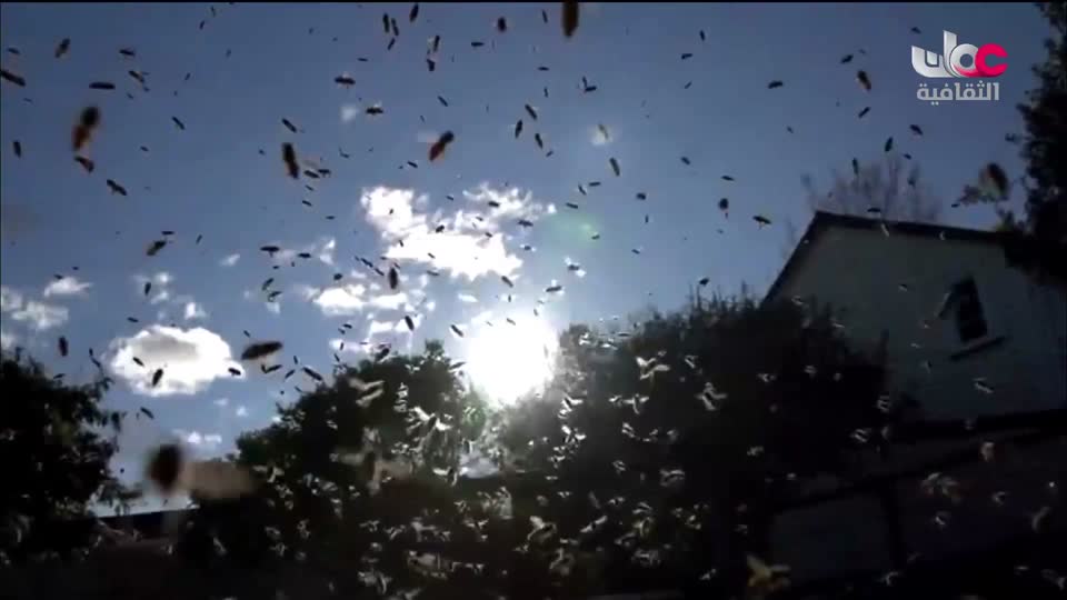 برنامج _ من عبق اللغة _ ج3 - الحلقة 1