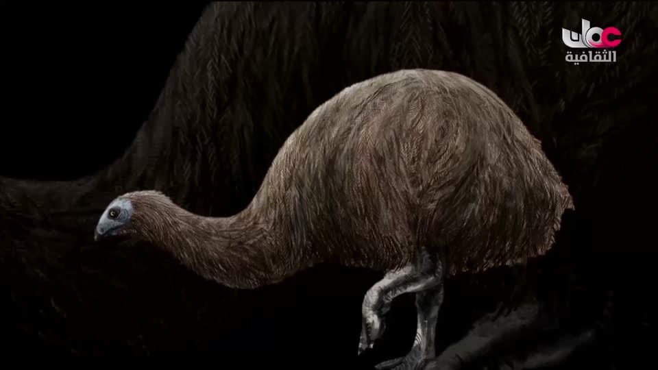 البرنامج الثقافي أرض ونار - تطور فن الطبخ - الحلقة 1