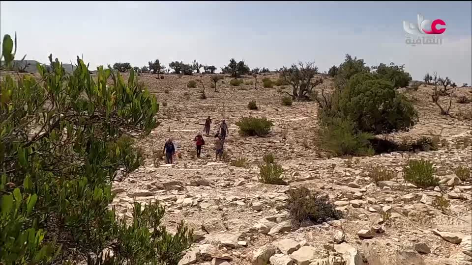 برنامج / الحفل الفني لفرقة البلد للموشحات العمانية