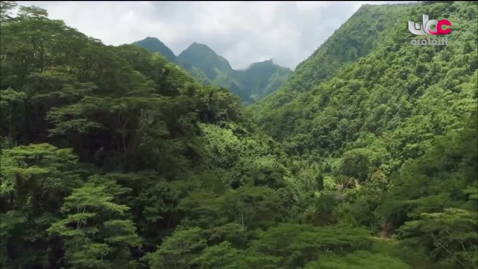 البرنامج الثقافي رحلة اكتشاف وتطور - الحلقة 2