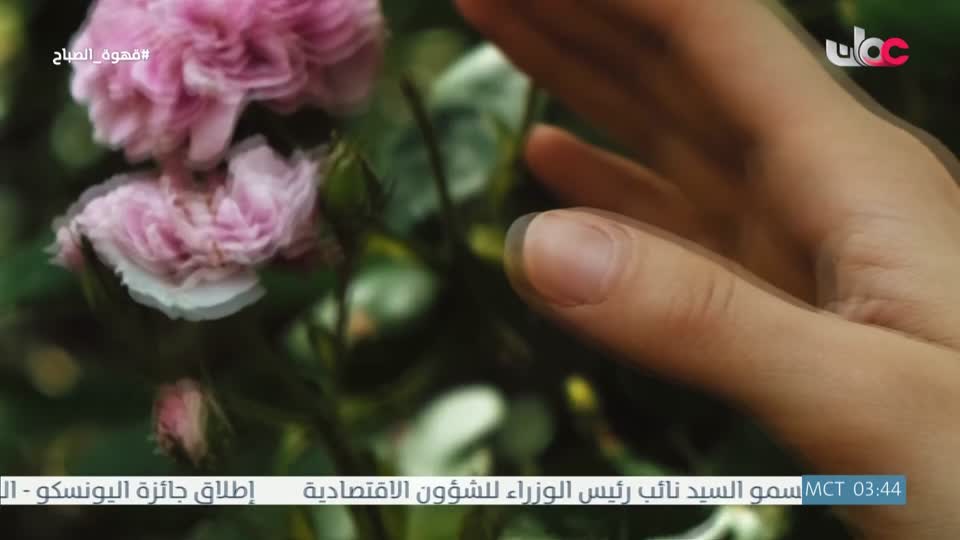 قهوة الصباح