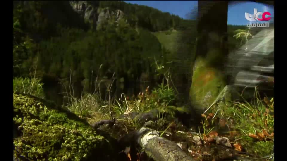 سبحانك ربي - الحلقة 4