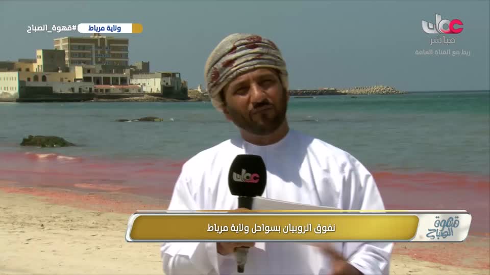 برنامج قهوة الصباح 2026 - الحلقة 55