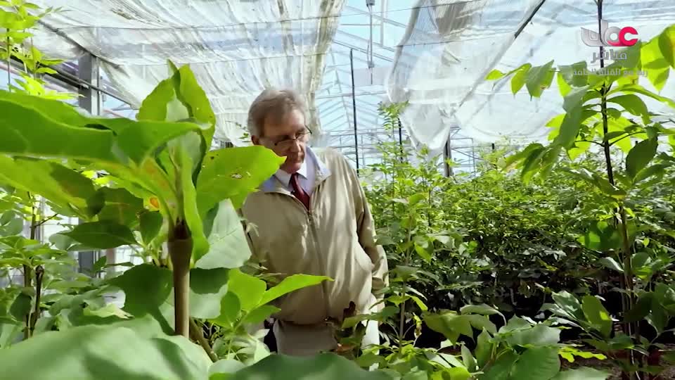 قصص الايات في القرآن