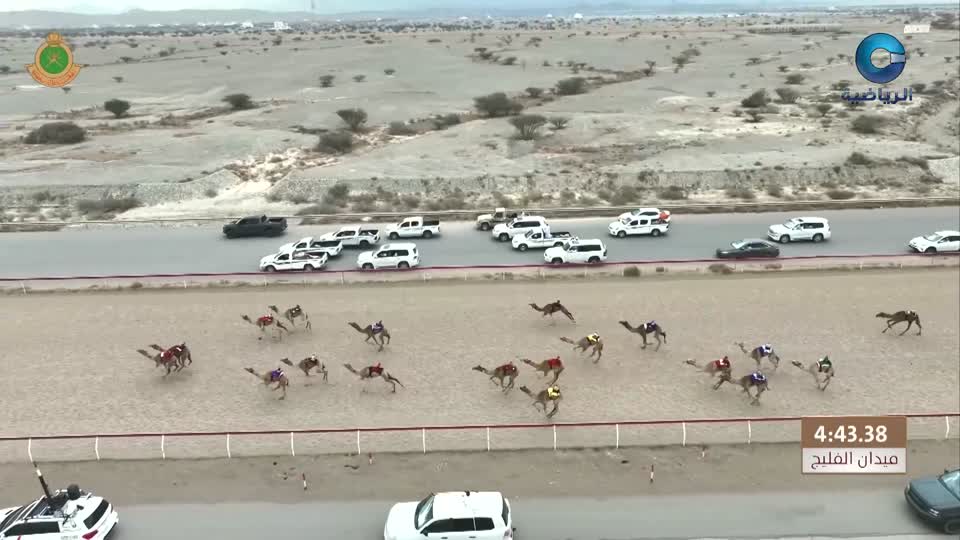 السباق العام للمهرجان السنوي لسباقات الهجن الاهلية - الفليج 2026 - الحلقة 4