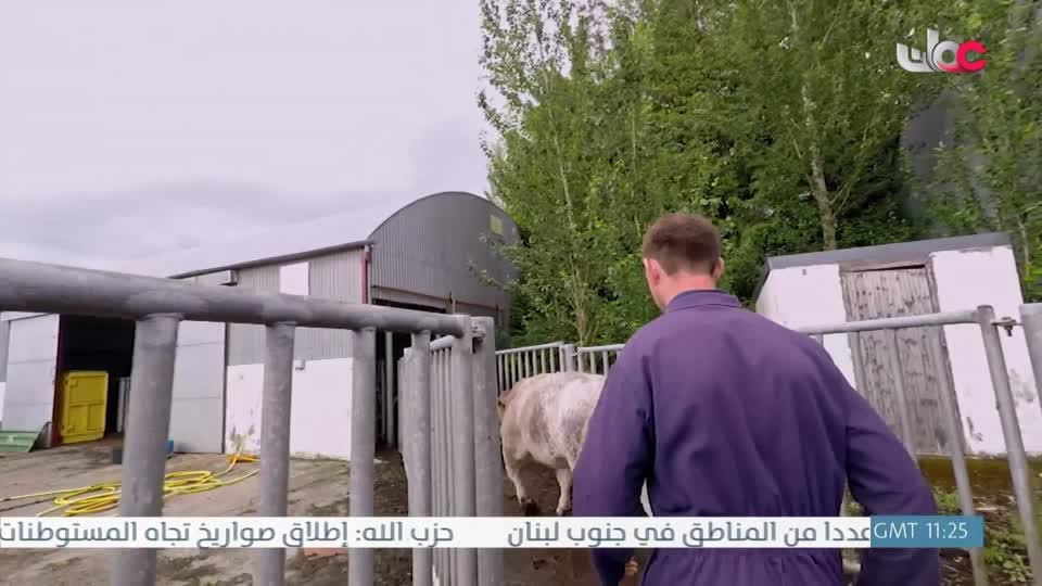 عالم اكثر اخضرارا