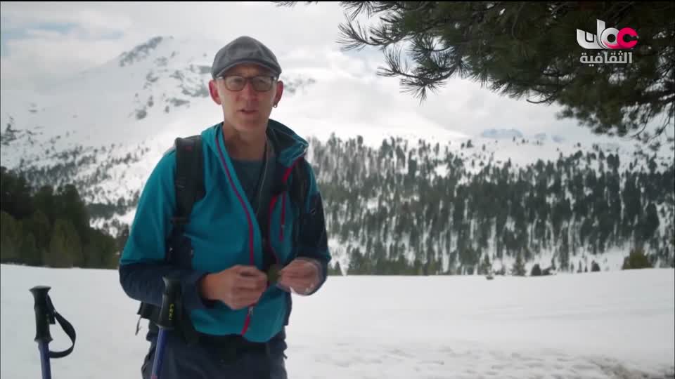 البرنامج الثقافي مقاهي عتيقة - الحلقة 3