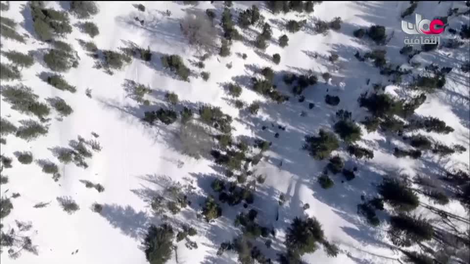 برنامج الثقافي - أسرار الحياة والكون - الحلقة 9