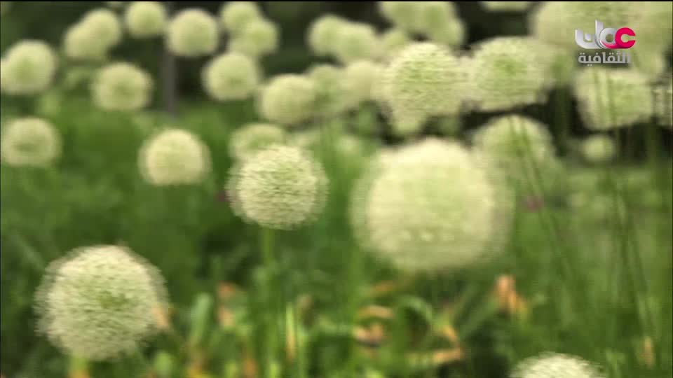 برنامج - غذاء وشعوب - الحلقة 3