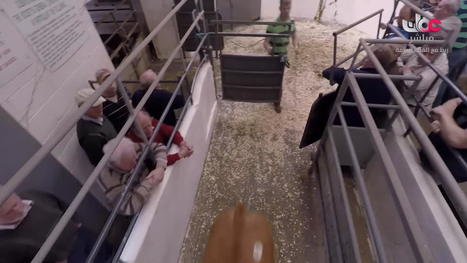 عالم اكثر اخضرارا