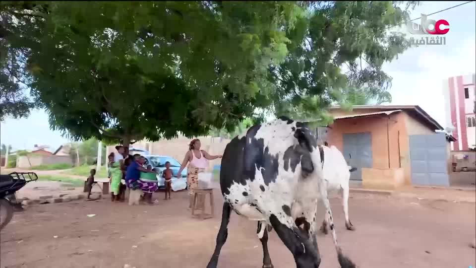 برنامج افريقيا قارة المستقبل - الحلقة 9