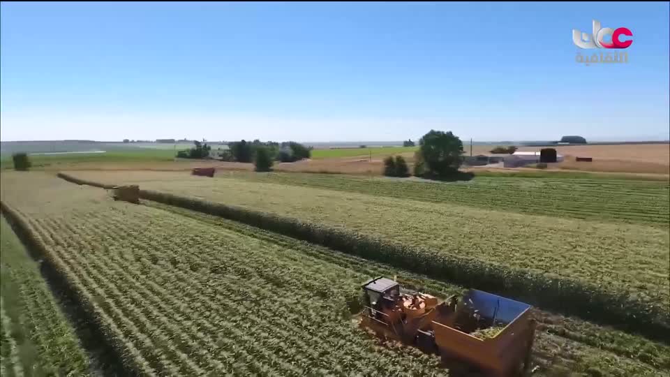 برنامج / أغاني مفرغة - موشحات - مركز عمان للموسيقى