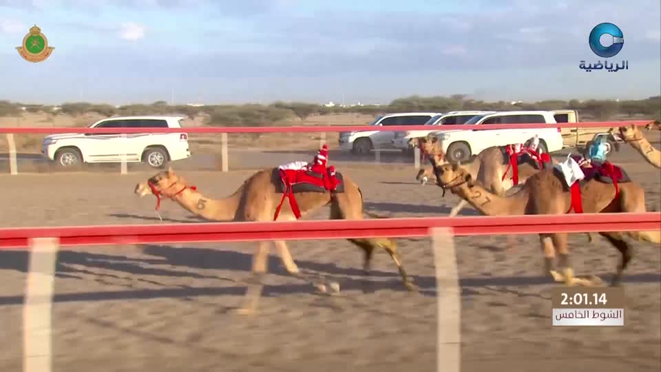 السباق العام للمهرجان السنوي لسباقات الهجن الاهلية - الفليج 2026 - الحلقة 5