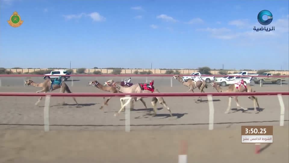 السباق العام للمهرجان السنوي لسباقات الهجن الاهلية - الفليج 2026 - الحلقة 6