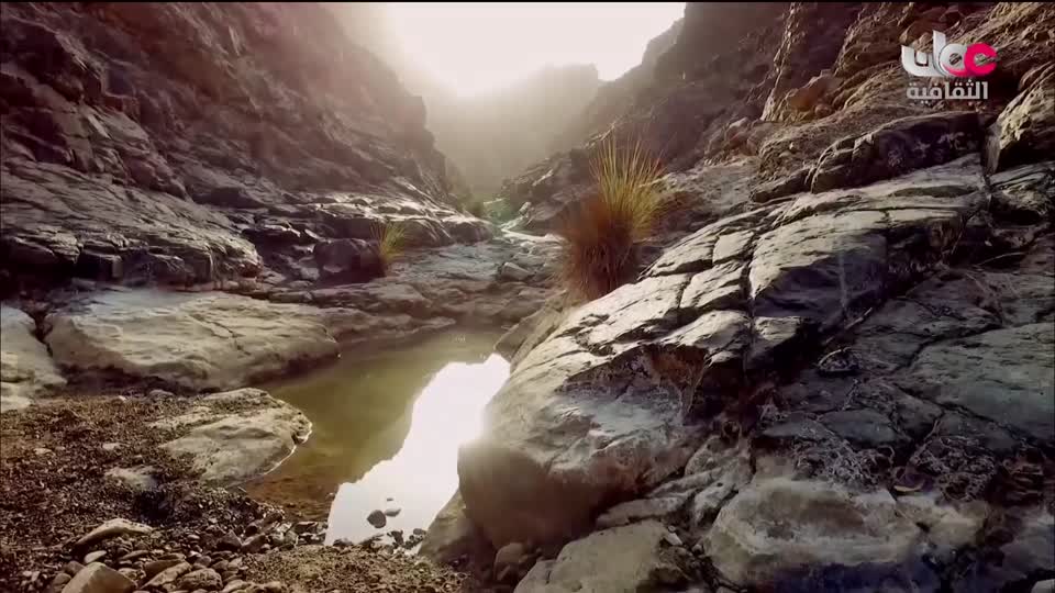 برنامج - أقنعة وكنوز - الحلقة 1