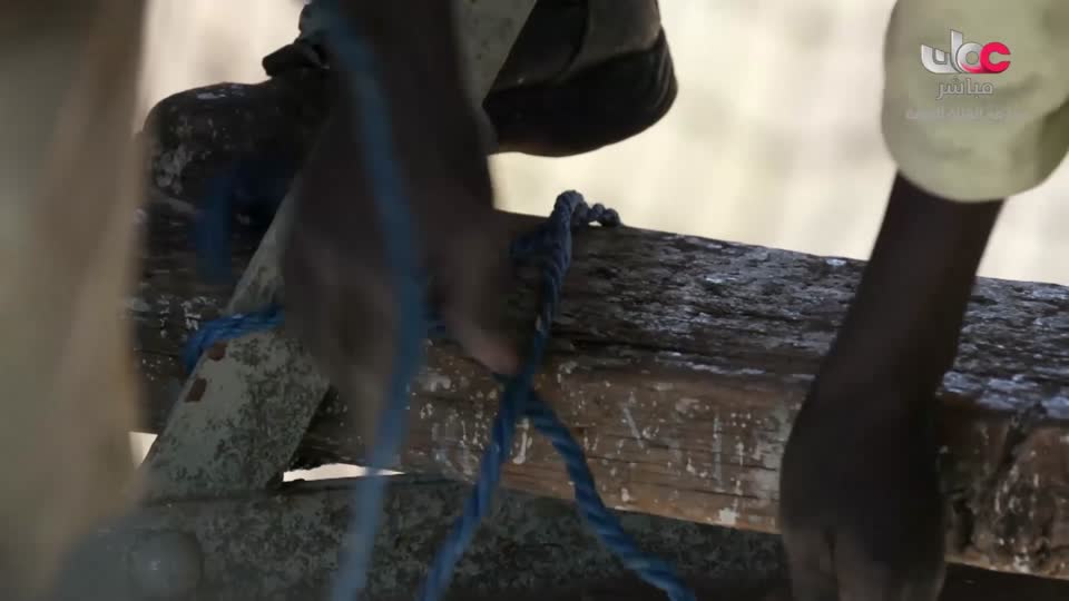 طاقة الحياة