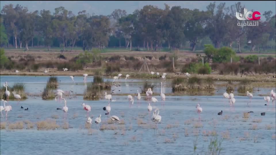 البرنامج الثقافي الدلتا في العالم - الحلقة 3