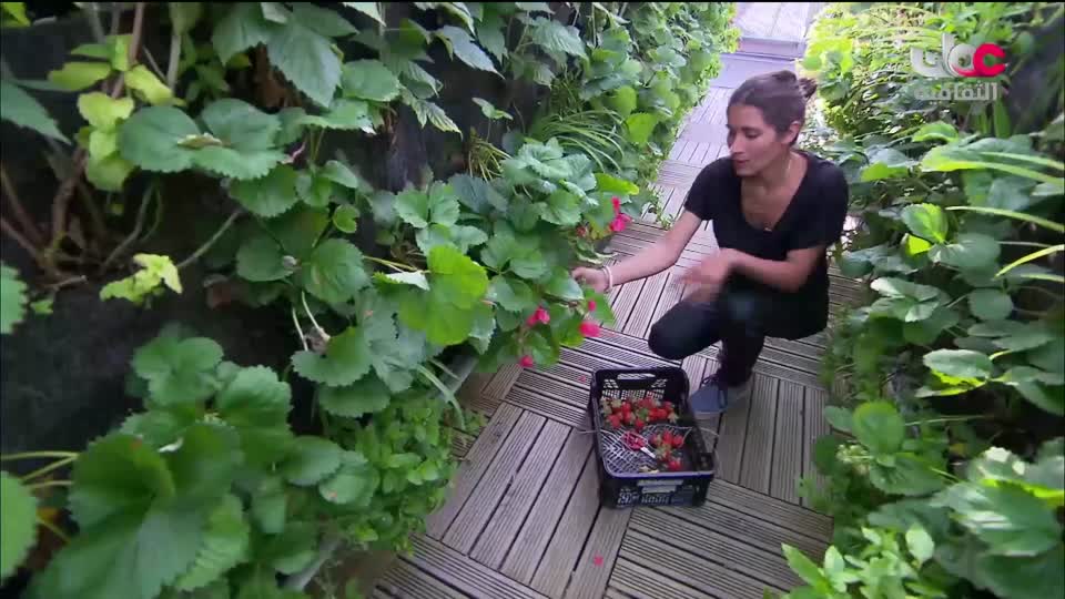 الزراعة من اجل الكوكب - الحلقة 14