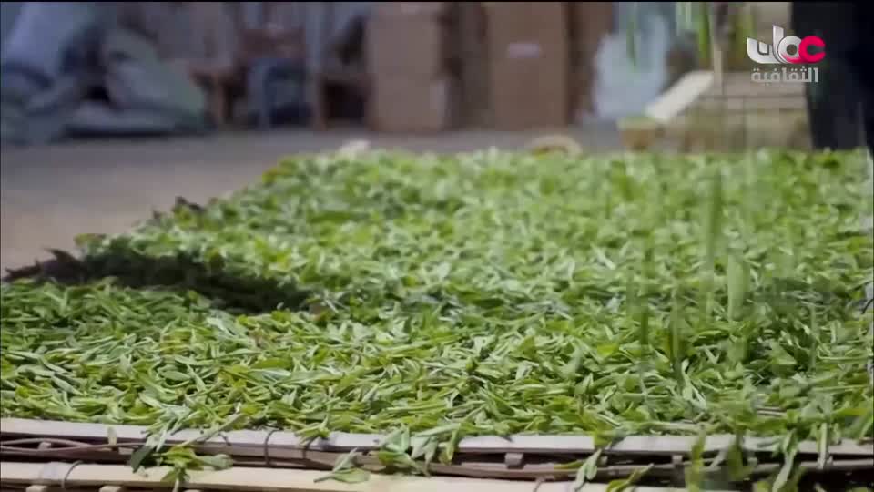 البرنامج الوثائقي - الأمن الغذائي - الحلقة 11