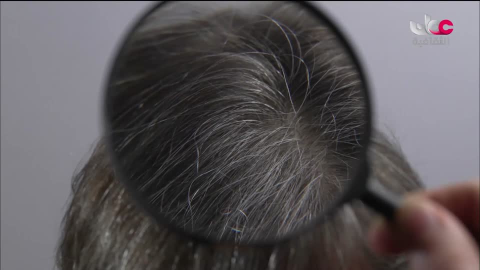 البرنامج الثقافي - زيوت عطرية - الحلقة 8