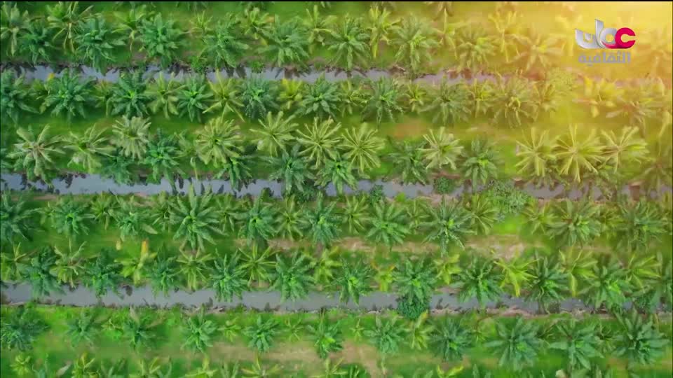 برنامج - كنوز الصحراء - الحلقة 9