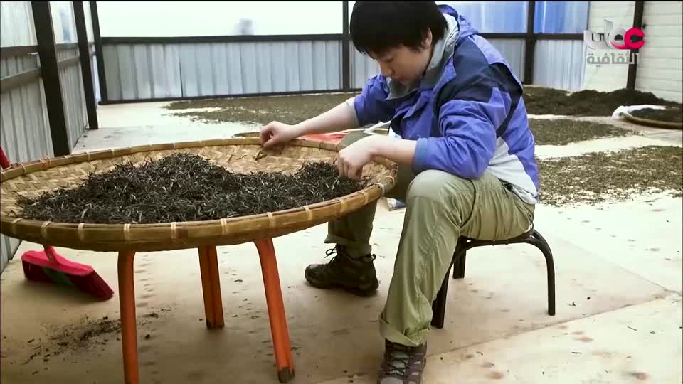 البرنامج الثقافي رحلة اكتشاف وتطور - الحلقة 6